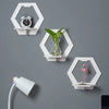 Image of 3pcs Hexagon Wall Shelf