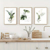 Image of 3pcs 7.9x11.8in Decorative Leaf Wall Art Painting